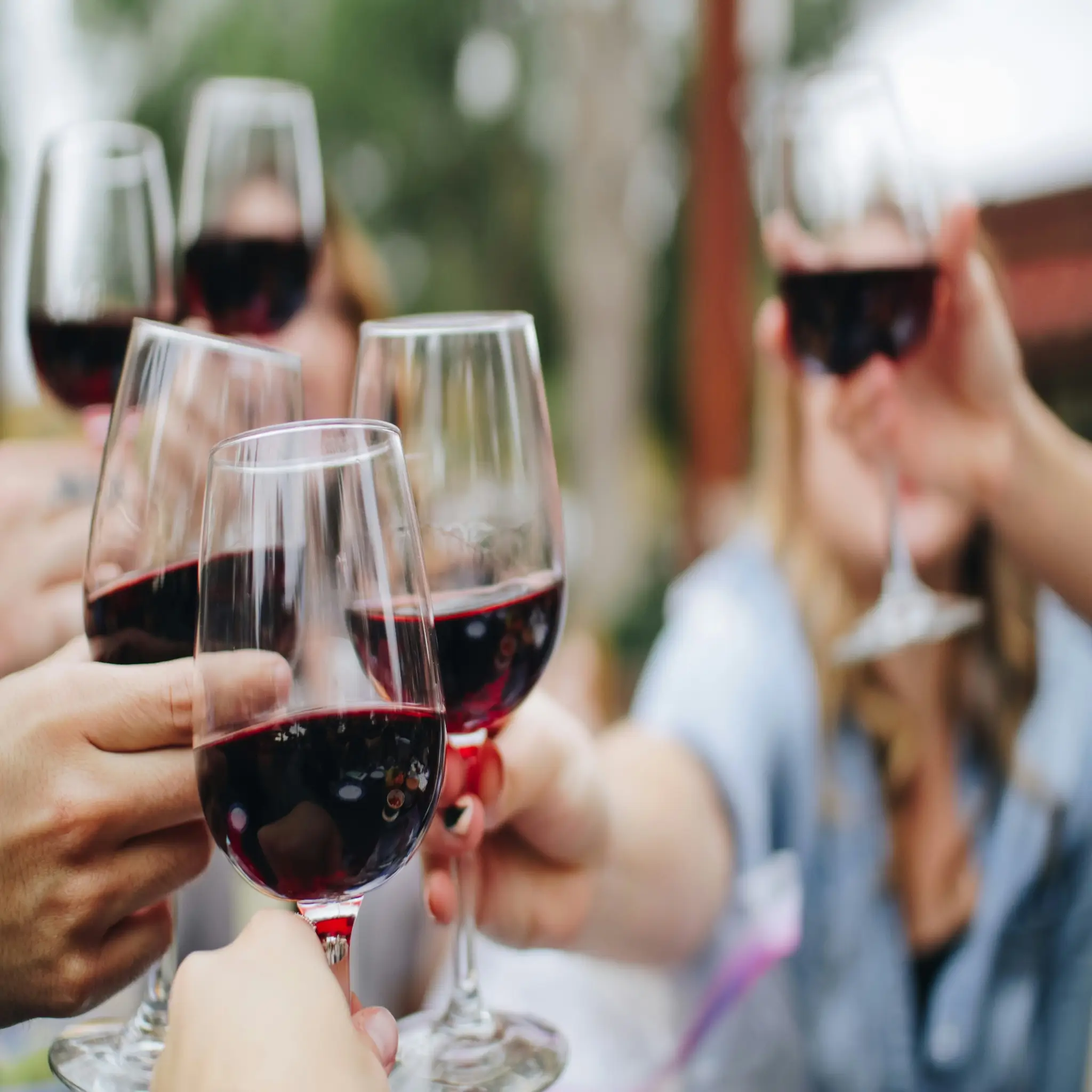 Comment choisir meilleur verre à vin bourgogne bordeaux champagne verre à vin choisirvin